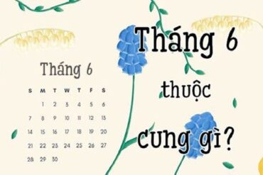 Sinh tháng 6 cung gì