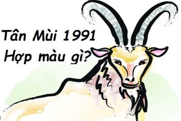 sinh năm 1991 hợp màu gì