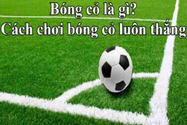 Bóng cỏ là gì