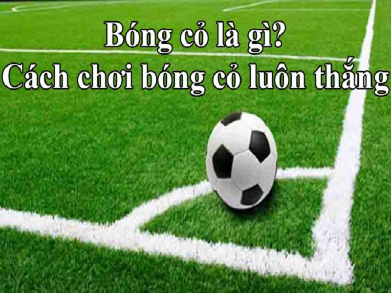 Bóng cỏ là gì